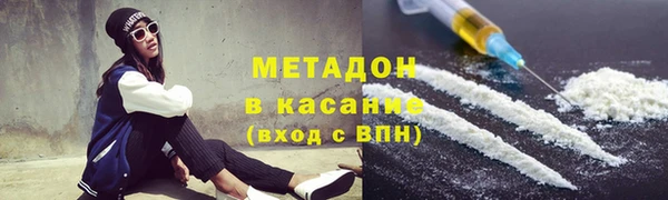 прущие грибы Надым