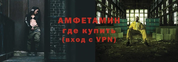 прущие грибы Надым
