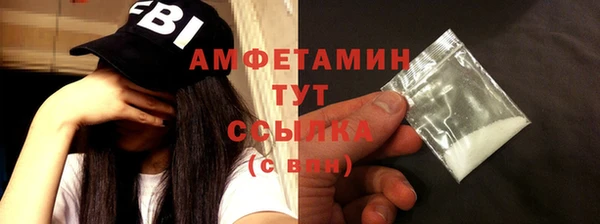 прущие грибы Надым