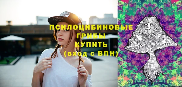 прущие грибы Надым