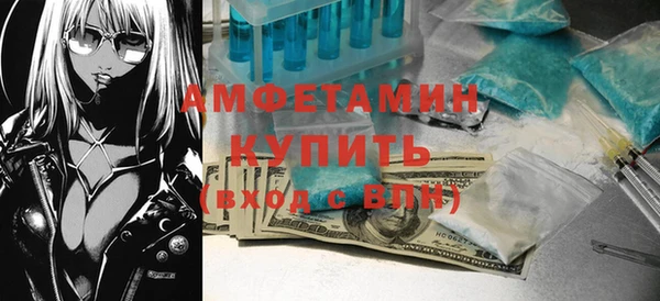 прущие грибы Надым