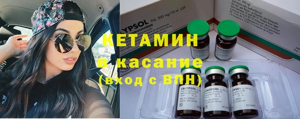 прущие грибы Надым