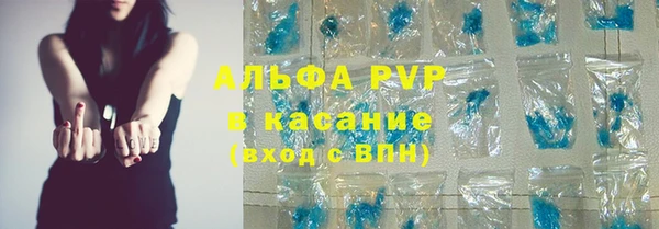 прущие грибы Надым